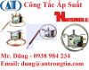 Công tắc áp suất Hsinglu - anh 1