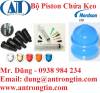 Bộ Piston chứa keo Nordson - anh 3